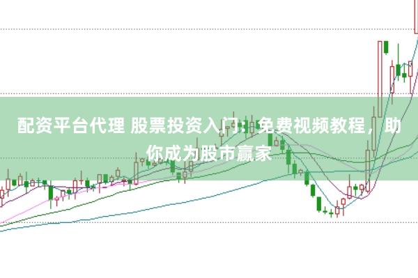 配资平台代理 股票投资入门：免费视频教程，助你成为股市赢家