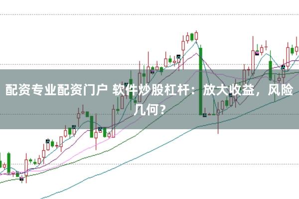配资专业配资门户 软件炒股杠杆：放大收益，风险几何？