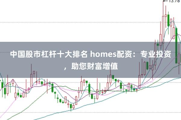 中国股市杠杆十大排名 homes配资：专业投资，助您财富增值