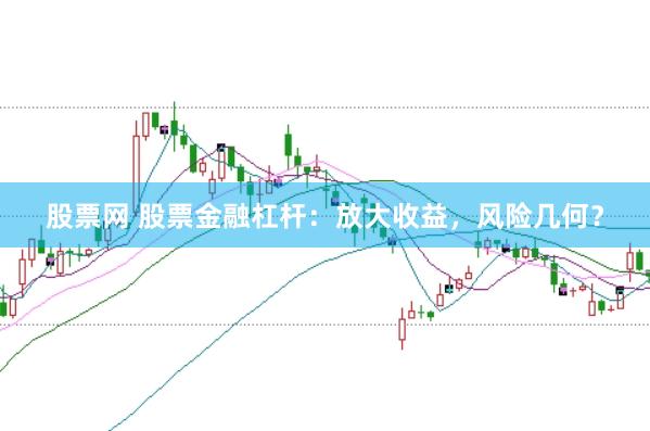 股票网 股票金融杠杆：放大收益，风险几何？