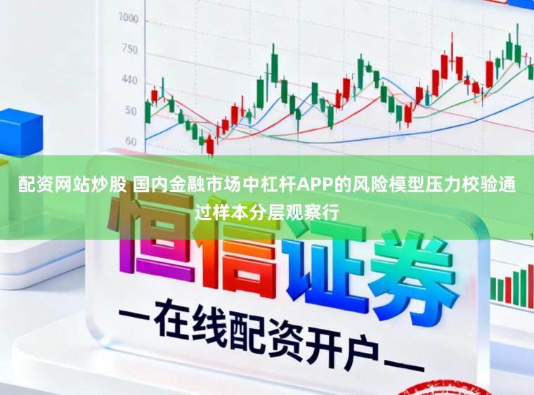 配资网站炒股 国内金融市场中杠杆APP的风险模型压力校验通过样本分层观察行