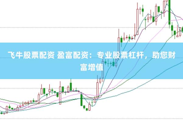 飞牛股票配资 盈富配资：专业股票杠杆，助您财富增值